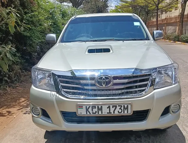 Toyota Hilux Double Cab 2010 - 1