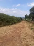 1/4 Acre Plot Mhasibu Twin Mount for Sale - 5