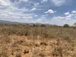 Eka 3 za Ardhi ya Kilimo Zinauzwa Ewuaso Kedong - 1