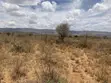 Eka 3 za Ardhi ya Kilimo Zinauzwa Ewuaso Kedong - 3