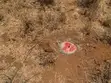 Eka 3 za Ardhi ya Kilimo Zinauzwa Ewuaso Kedong - 5