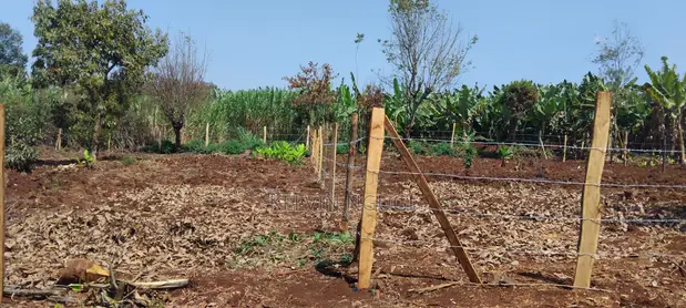 Viwanja 50x100 vya Uuzaji Karibu na Ichaweri, Gatundu South - 1