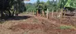 Viwanja 50x100 vya Uuzaji Karibu na Ichaweri, Gatundu South - 2