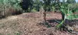 Viwanja 50x100 vya Uuzaji Karibu na Ichaweri, Gatundu South - 5