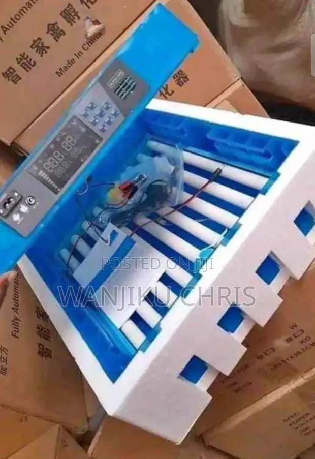 AC/DC Automatic Egg Incubator - 64 Eggs - 1