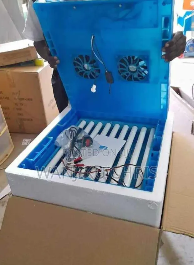Automatic 64 Egg Incubator Machine - 1
