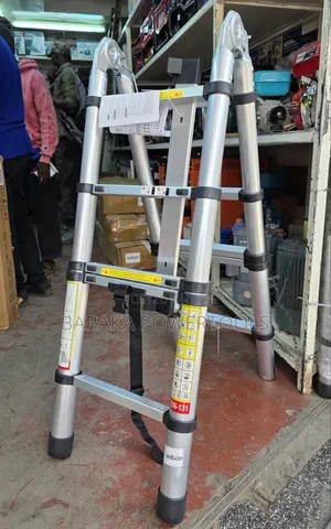 Double Telescopic Ladder 3.2m