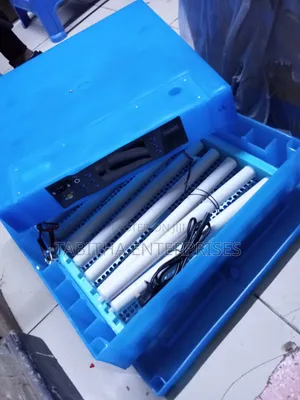 Automatic Egg Incubator - 64 Eggs