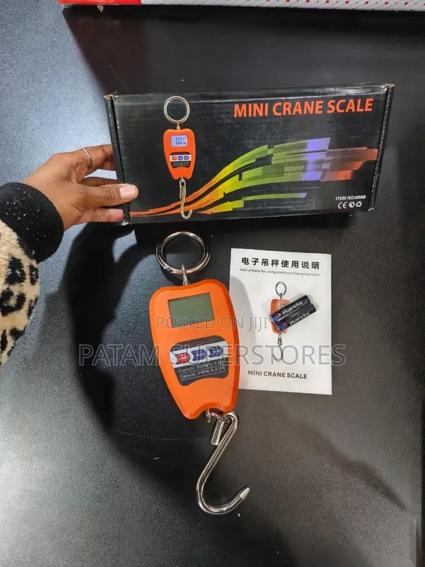 Mini Crane Weighing Scale 200kg - 1