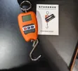 Mini Crane Weighing Scale 200kg - 2