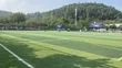 Nyasi za Mpira wa Miguu Zilizoidhinishwa na FIFA - Uuzaji na Ufungaji - 2