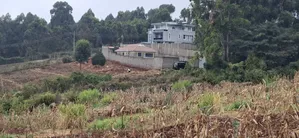 Quarter Acre Residential Plot for Sale - Kikuyu Gikambura