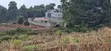 Quarter Acre Residential Plot for Sale - Kikuyu Gikambura - 3
