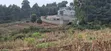 Quarter Acre Residential Plot for Sale - Kikuyu Gikambura - 4