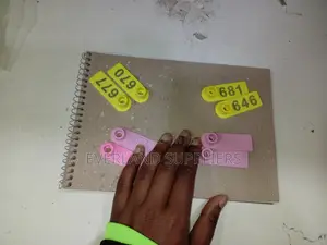 Bright Ear Tags