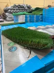 Artificial Grass ya Kifahari - Kahawia (50mm Urefu) - 2