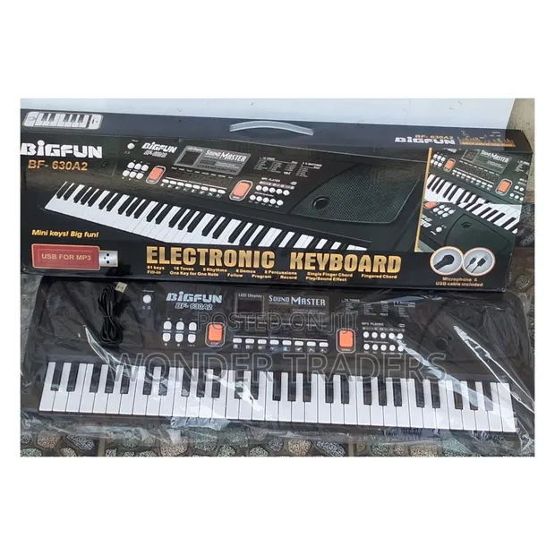 Piano ya Vitufe 61 Inachajiwa na Maikrofoni - 1