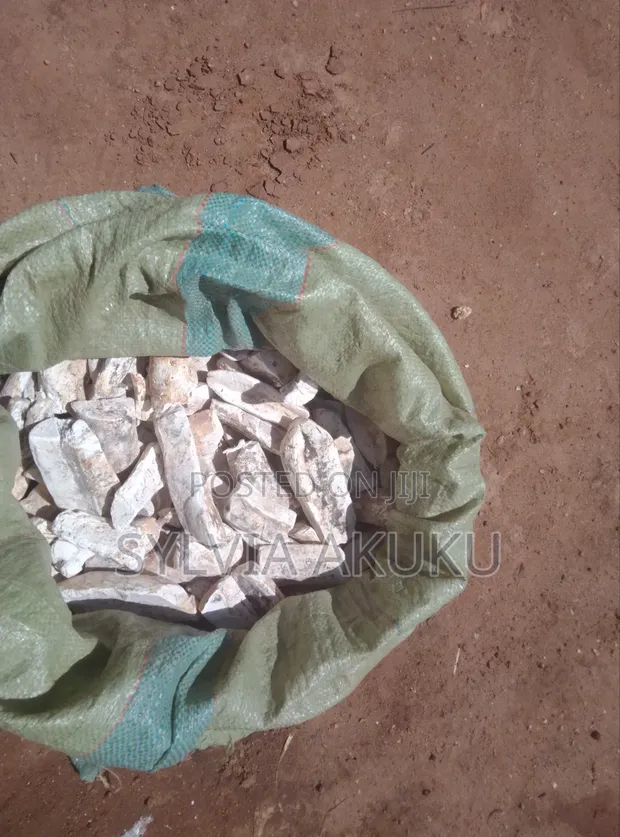 Cassava for Sale - 1