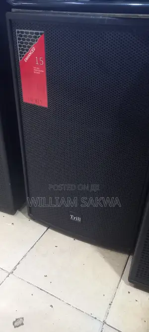 Trill 15-Inch Professional Speaker