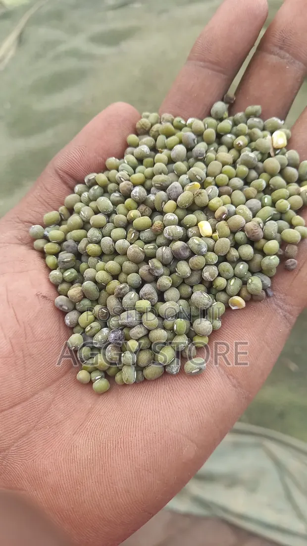 KDM Transporters - Grains & Cereals - 1