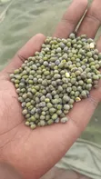 KDM Transporters - Grains & Cereals - 1