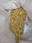 KDM Transporters - Grains & Cereals - 5