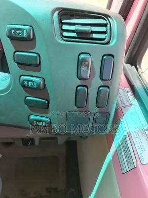 Mitsubishi Fuso Rosa 2020 - Pink