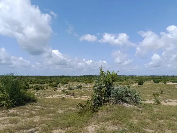 Commercial Land for Sale in Mwaluganje, Kwale - 1
