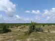 Commercial Land for Sale in Mwaluganje, Kwale - 1