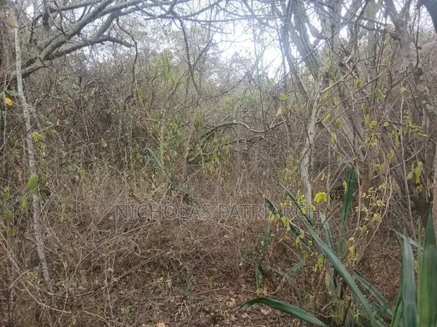 7 Acres Land for Sale in Mutomo, Kitui - 1