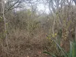 7 Acres Land for Sale in Mutomo, Kitui - 1