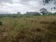7 Acres Land for Sale in Mutomo, Kitui - 2
