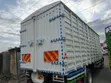 Lori la Mitsubishi FH Rigid - 5