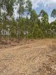 Half Acre Plots for Sale in Kisaju, Kajiado County - 3