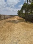 Half Acre Plots for Sale in Kisaju, Kajiado County - 4