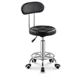 New Designer Backrest Stool - 2