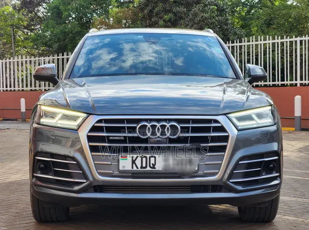Audi Q5 2.0T Premium AWD quattro 2019 Silver - 1
