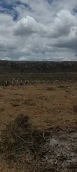 50x100 Prime Residential Plots in Kikuyu Mikuyuini - 1