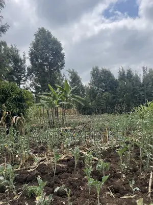 0.5 Acre Land for Sale in Ngong Town, Ngere Road