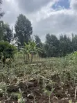 Nusu Eka ya Ardhi Inauzwa Ngong Town, Barabara ya Ngere - 1