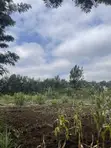 Nusu Eka ya Ardhi Inauzwa Ngong Town, Barabara ya Ngere - 3