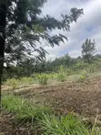 Nusu Eka ya Ardhi Inauzwa Ngong Town, Barabara ya Ngere - 5