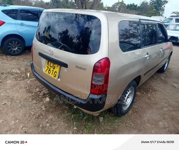 Toyota Probox 2008 Beige - 1
