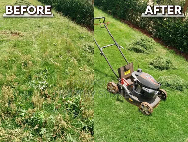 Gardener/Compound Care - Monifa Garden Services - 1