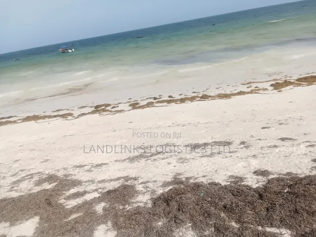 Diani Beach 3 Acres Front for Hotel/Villa - 1
