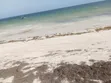 Diani Beach 3 Acres Front for Hotel/Villa - 1