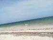 Diani Beach 3 Acres Front for Hotel/Villa - 2