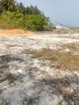 Diani Beach 3 Acres Front for Hotel/Villa - 3
