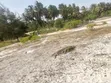 Diani Beach 3 Acres Front for Hotel/Villa - 5