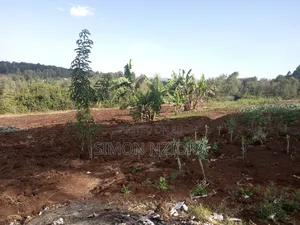 Prime Quarter Acre Land for Sale in Ngong Matasia